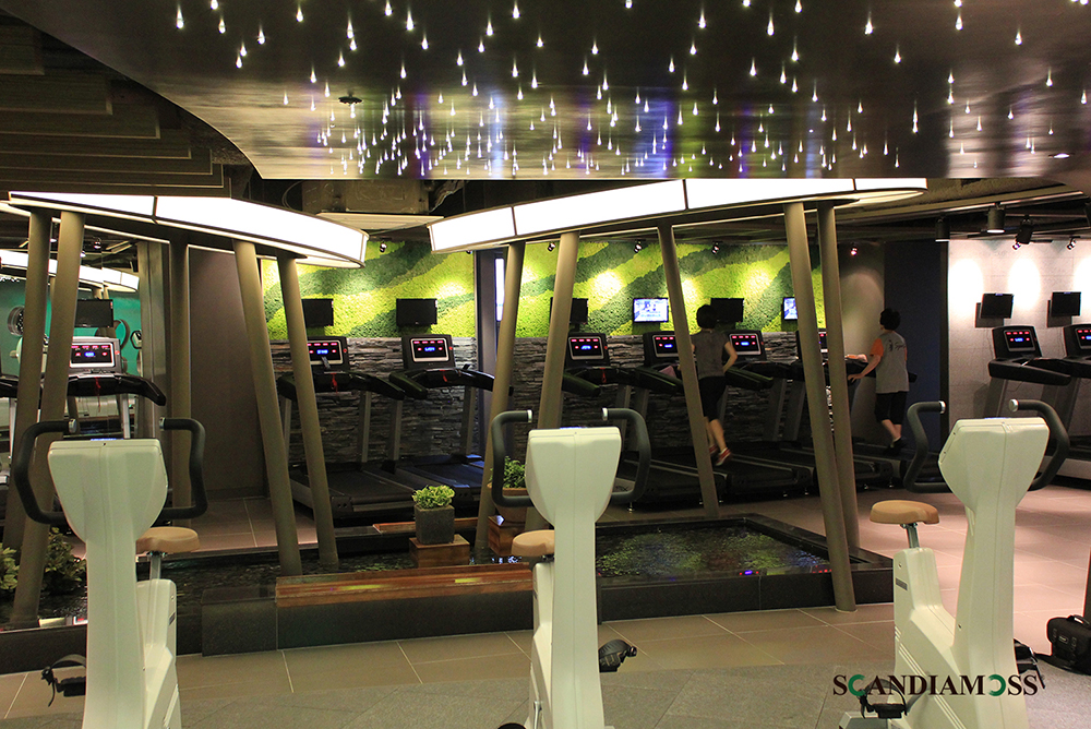 Scandia Moss Project 03 | Fitness center Scandia Moss wall custom design construction - Sports K custom made and Custom made according to the desired drawing