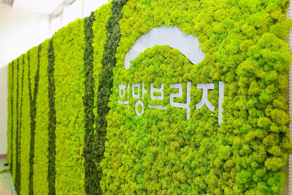 Scandia Moss Project 01 | Scandia Moss wall greening hospital interior construction - Seoul Seonam Hospital custom panel and indoor interior