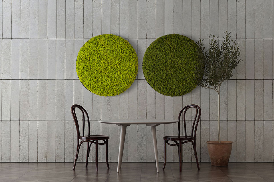 Scandia Moss products | Design Frame | Forest Garden | A new paradigm in wall decoration interior.Create happiness with a Scandia moss plant frameScandia moss, an air purifying plant on the living room wall in my house