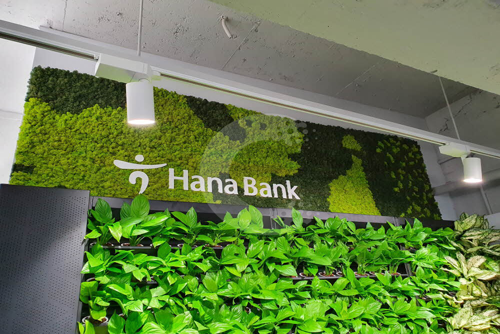 Construction of Scandia Moss Wall, an indoor sign that unites nature and space - Hana Bank