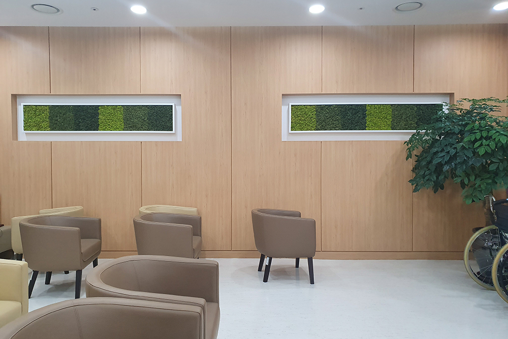 Scandia Moss Project 01 | Air purifying plant Scandia moss frame wall decoration interior - Korea University Anam Hospital custom panel and custom construction