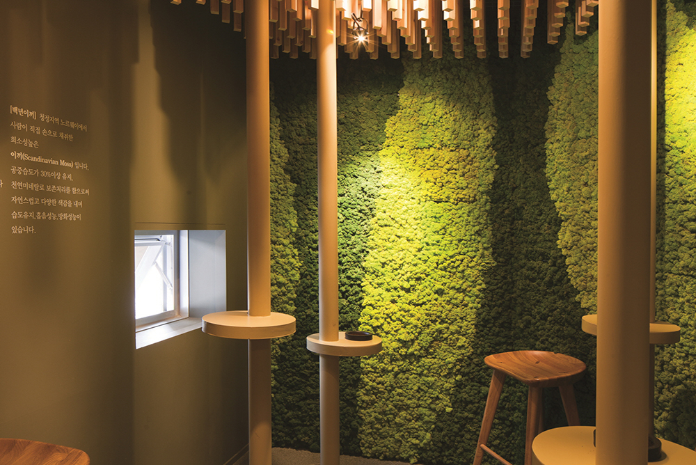 스칸디아모스 프로젝트 03 | 공기정화식물 스칸디아모스 벽면녹화 이끼 커스텀 시공 - 부산 외식일번가 커스텀 제작 및 커스텀 시공