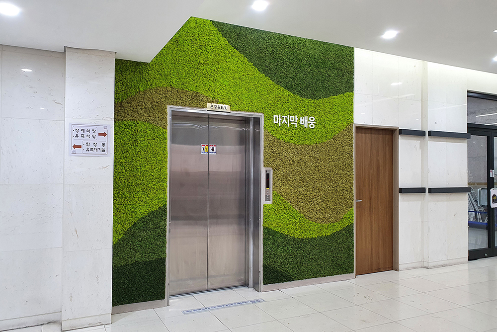 Scandia Moss Project 02 | Construction of Scandia Moss Wall in Yeongnak Park, Busan custom panel and indoor interior