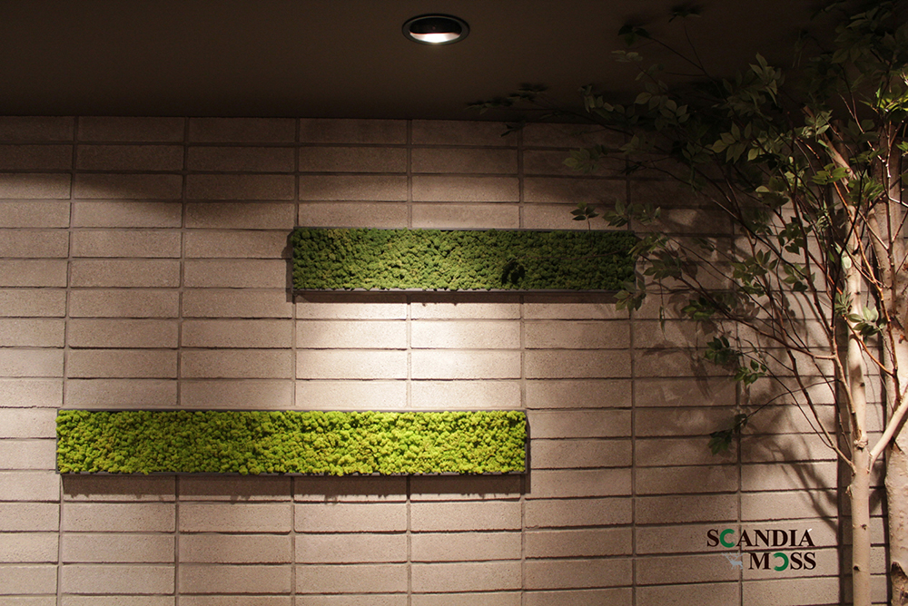 Scandia Moss Project 03 | Scandia Moss framed wall green interior construction - Honey & Buffet Custom made and Scandia Moss Framed