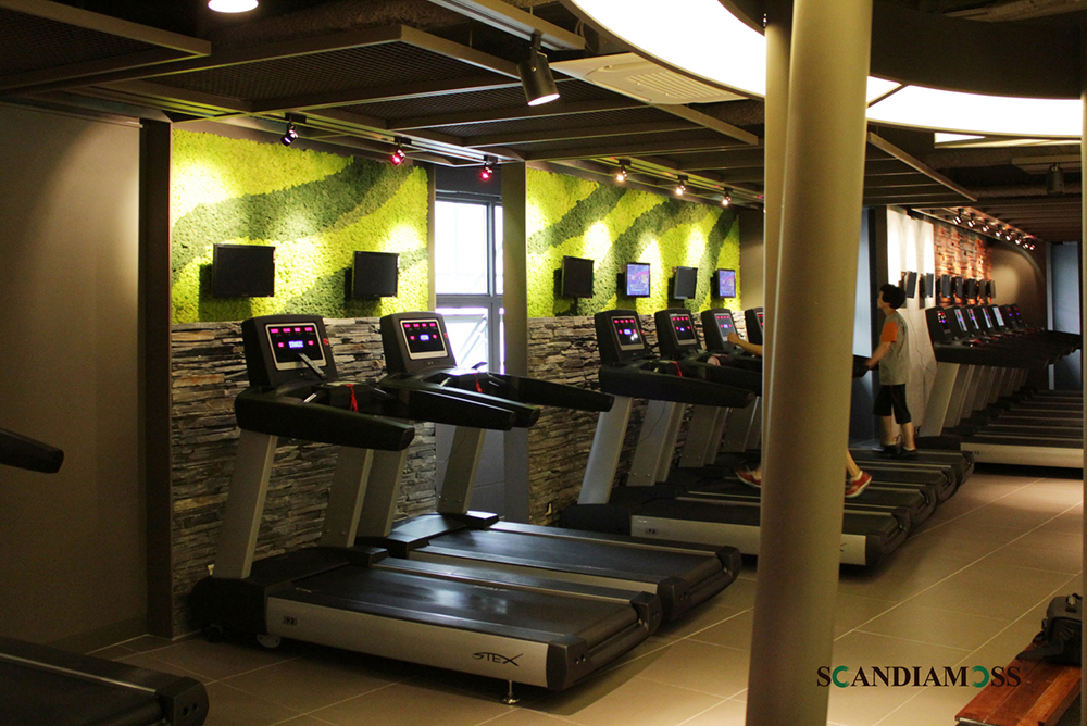 Fitness center Scandia Moss wall custom design construction - Sports K