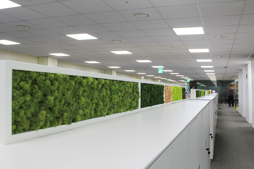 Scandia Moss Project 04 | Office interior using eco-friendly Scandia moss picture frames - Kyowa Kirin Korea Cork panels and Custom production
