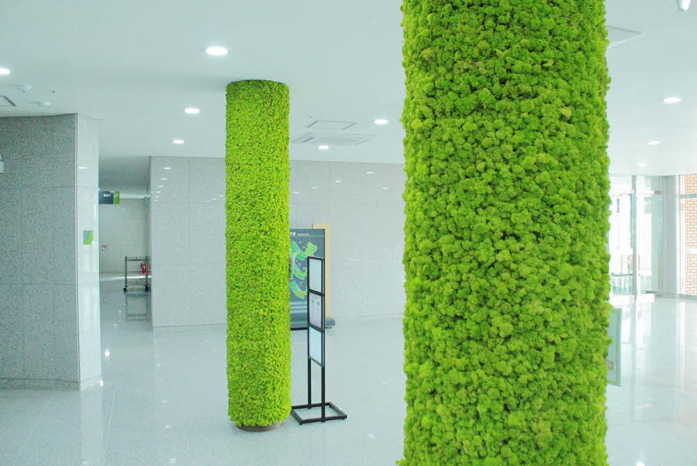 Indoor pillar greening construction representing moss-covered wooden pillars in nature - Sobaeksan National Park