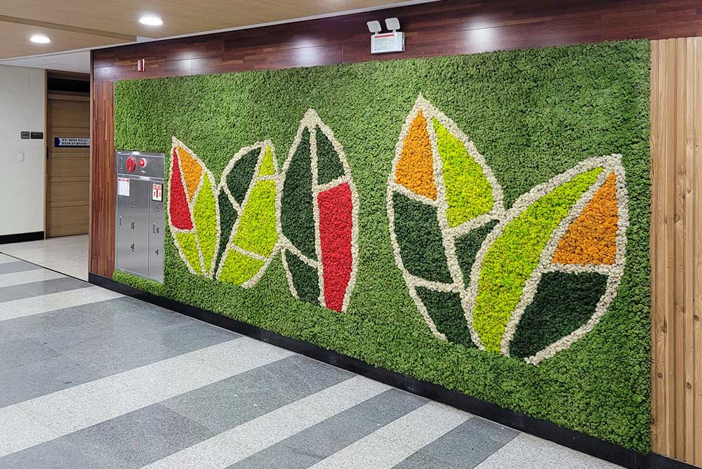 Scandia Moss Project 02 | School hallway design with air purifying plants for students - Cheonglim Middle School custom order and custom order