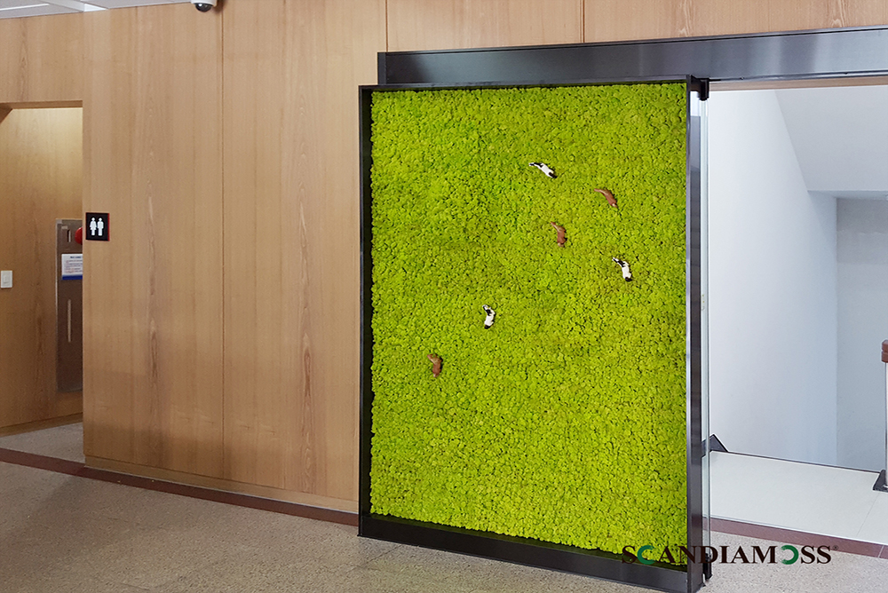 스칸디아모스 프로젝트 02 | 스칸디아모스 패널을 활용한 사무실 복도 벽면녹화 시공-한국마사회 커스텀 제작 및 커스텀 제작