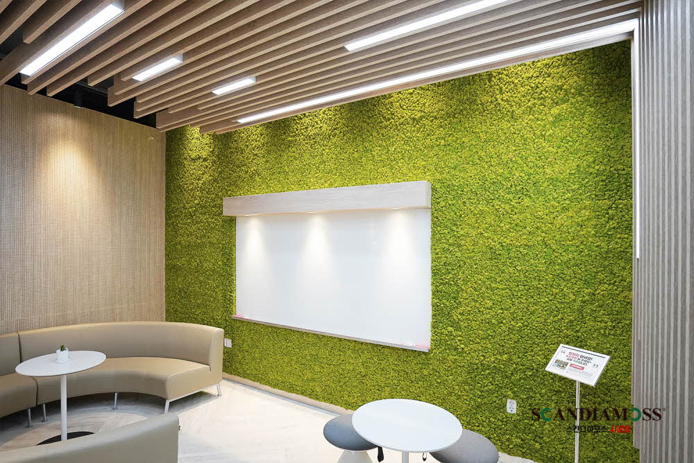 Scandia Moss Project 03 | Scandia Moss, a green interior plant wall that requires no maintenance - Korea Institute of Energy Research custom panel and indoor interior