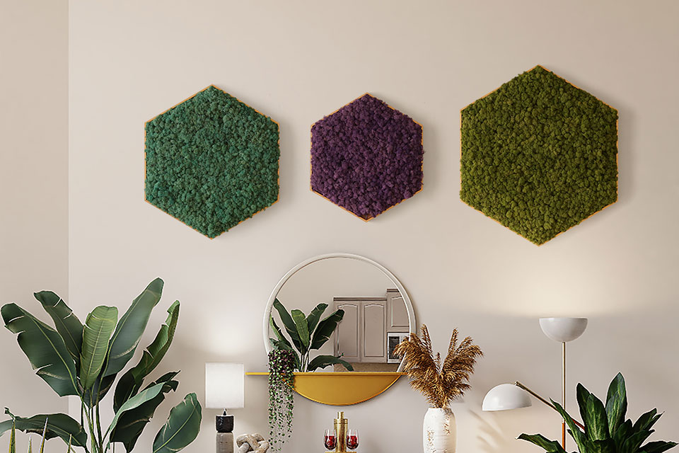 Scandia Moss products | Design Frame | Crystal Garden | A new paradigm in wall decoration interior.Create happiness with a Scandia moss plant frameScandia moss, an air purifying plant on the living room wall in my house