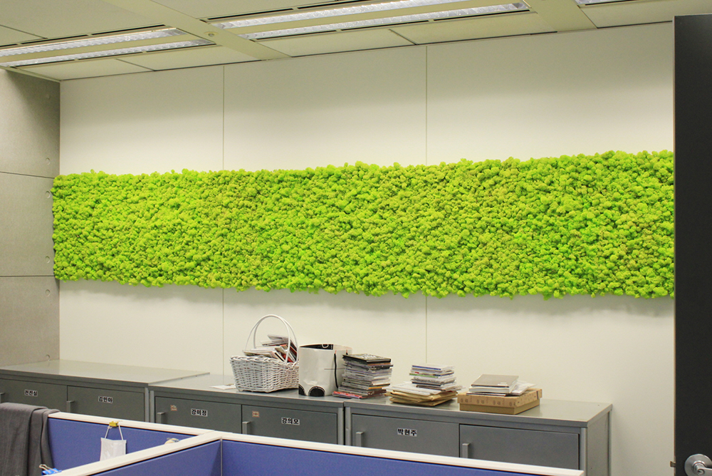 Scandia Moss Project 03 | SBS broadcasting station office interior moss wall construction using air purifying plants, Scandia moss, natural moss from Northern Europe Aluminum panel and Aluminum panel custom construction