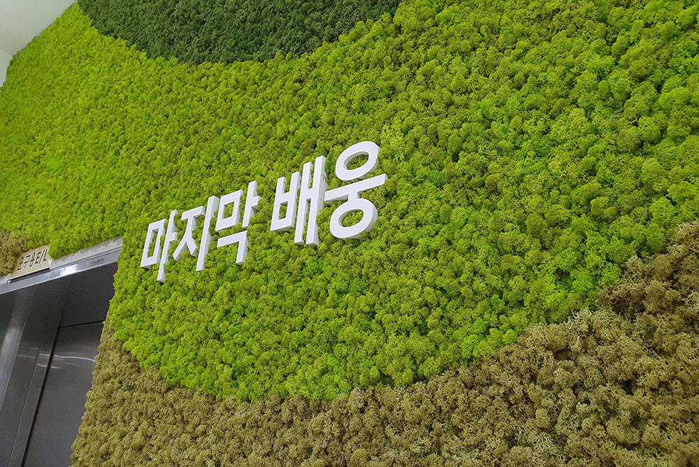 Construction of Scandia Moss Wall in Yeongnak Park, Busan