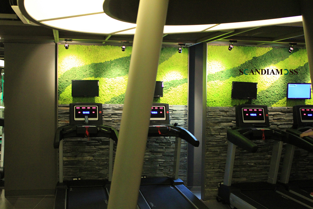 Scandia Moss Project 02 | Fitness center Scandia Moss wall custom design construction - Sports K custom made and Custom made according to the desired drawing
