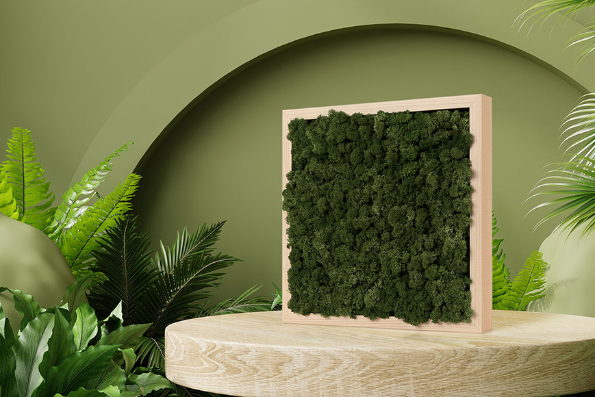 Scandia Moss products | Framo | BIRCH