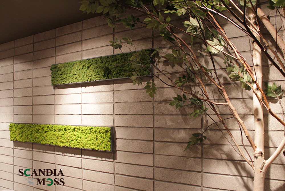Scandia Moss Project 01 | Scandia Moss framed wall green interior construction - Honey & Buffet Custom made and Scandia Moss Framed
