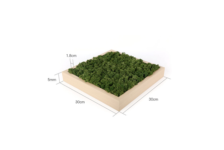 Scandia Moss products | Framo | BIRCH