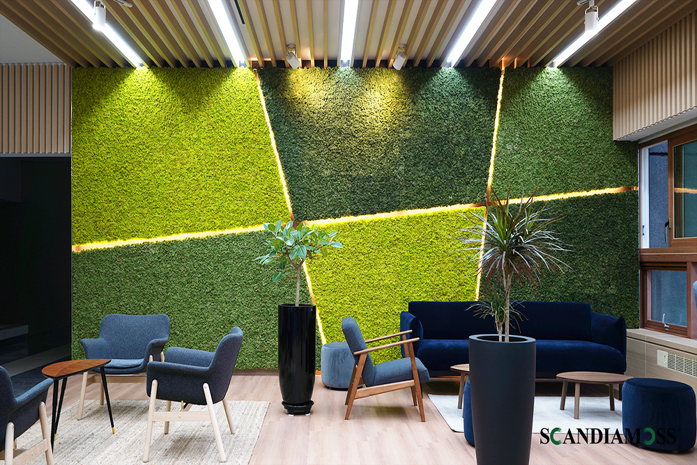 스칸디아모스 프로젝트 02 | 스칸디아모스 커스텀 패널을 활용한 이색적인 벽면녹화-한국국방연구원 커스텀 패널 및 벽면녹화