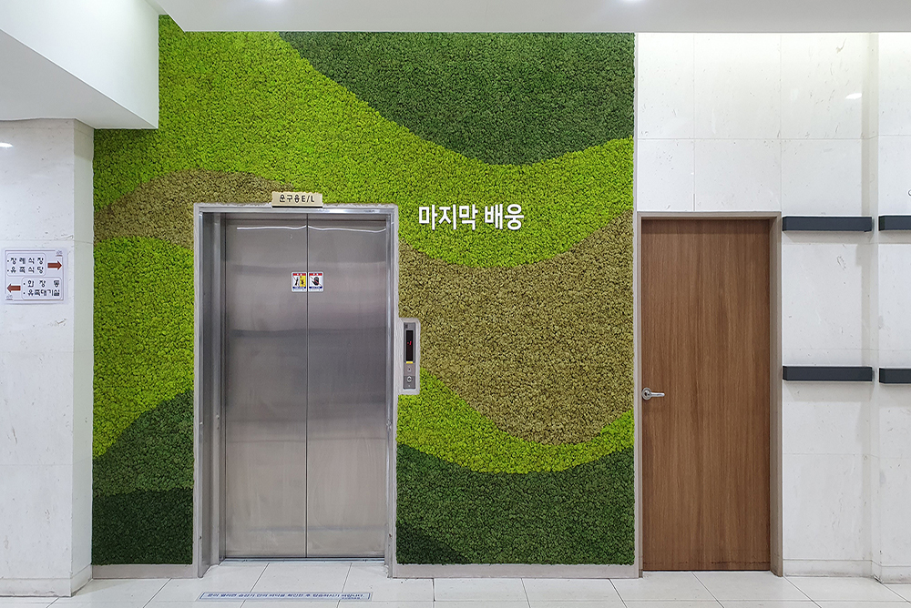 Scandia Moss Project 03 | Construction of Scandia Moss Wall in Yeongnak Park, Busan custom panel and indoor interior