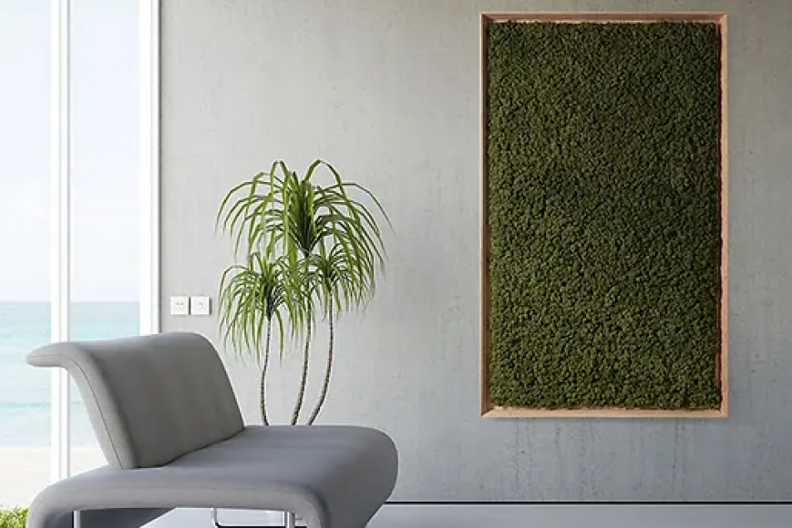 Scandia Moss products | Grand Garden | L