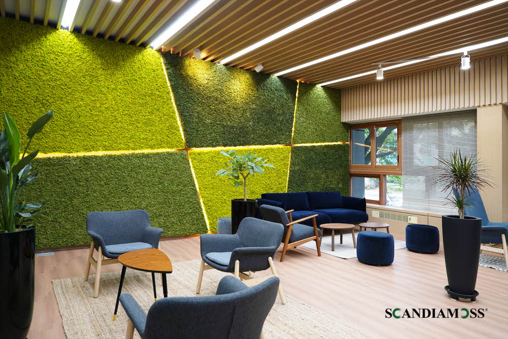 Unique wall greening using Scandia Moss custom panels - Korea Institute for Defense Analyzes